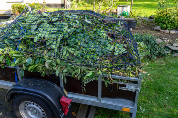 Best Hoarding Cleanup  in Webster, FL